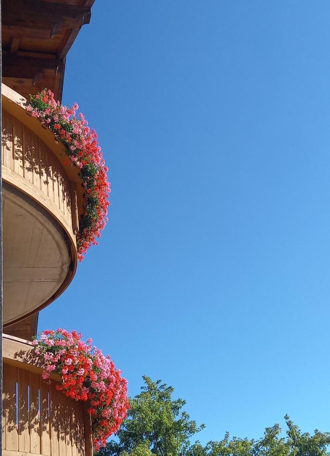Al Truciolo Apartment Andalo Exterior photo